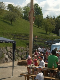 DSCF1737