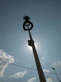 DSCF1748