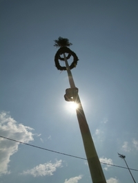 DSCF1749
