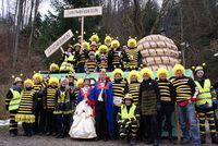 Faschingsumzug 2013