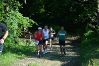 DSC 0251