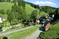 DSC8113