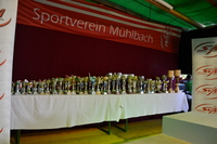  DSC8250