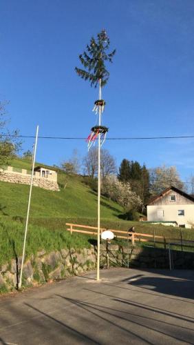 Maibaum 2021