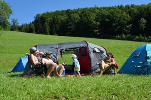 DSC 0843-1024x683