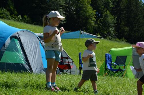 DSC 0846-1024x683