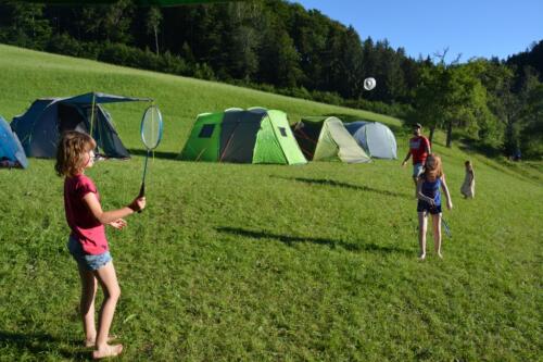 DSC 0907-1024x683