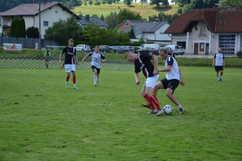 DSC 0978-1024x683