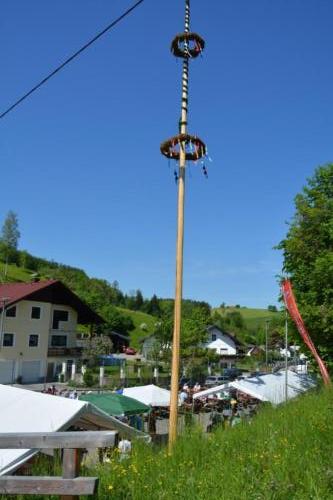 Maibaum und Maifeier 2022