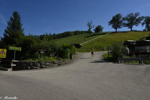 20230812-DSC 2264-1024x683