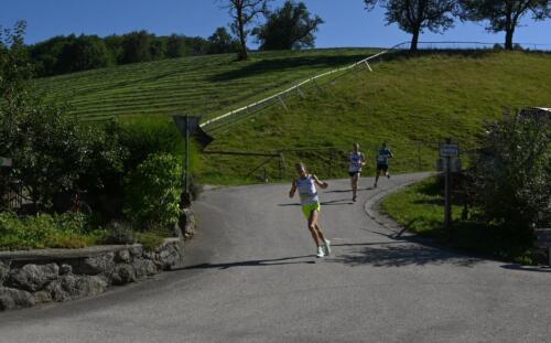 20230812-DSC 2270-2-1024x636