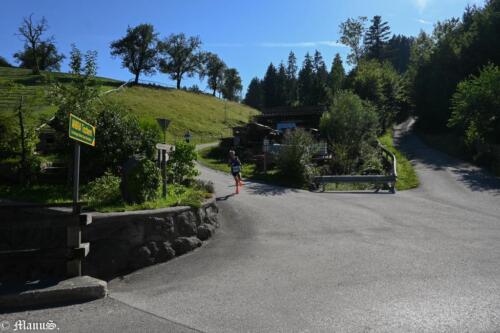 20230812-DSC 2384-1024x683