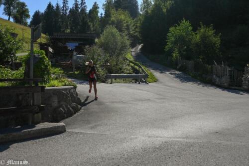20230812-DSC 2393-1024x683