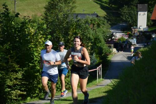 DSC 0254-1024x683