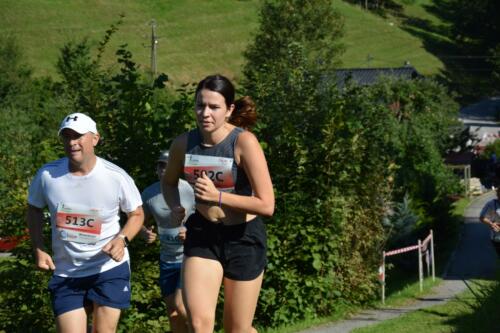 DSC 0255-1024x683