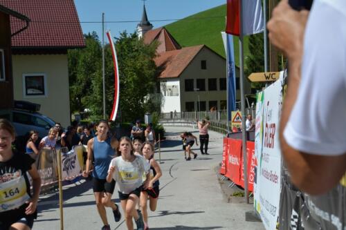 DSC 0109-1024x683