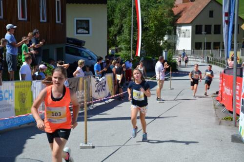 DSC 0112-1024x683