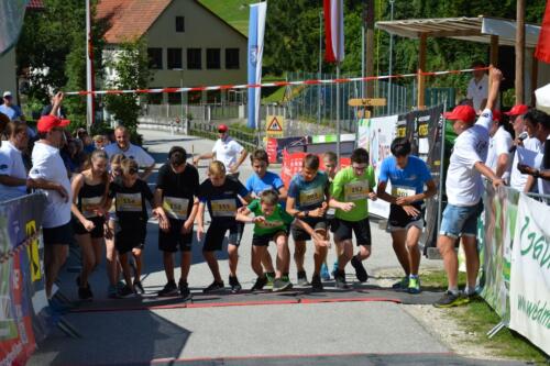 DSC 0122-1024x683