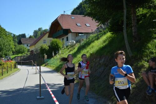 DSC 0130-1024x683