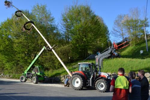 Maibaum aufstellen 2023