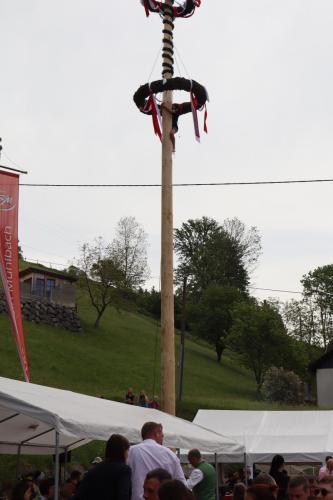 IMG 0636