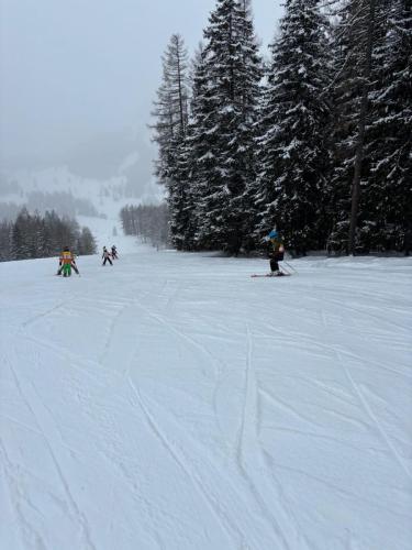 IMG-20250113-WA0011