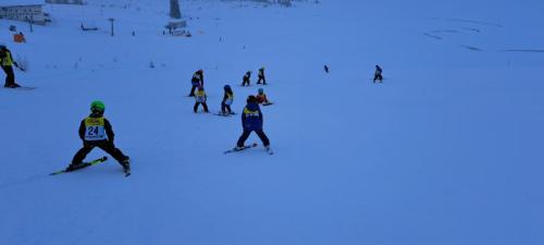 IMG-20250113-WA0053
