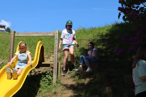 IMG 2778